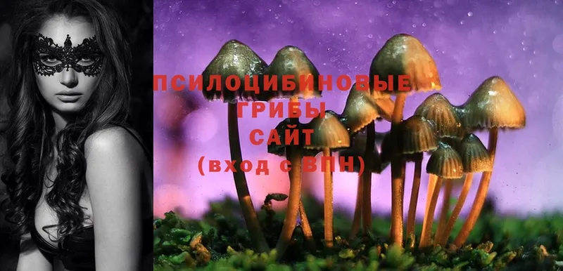 Галлюциногенные грибы Magic Shrooms  купить   Нефтекамск 